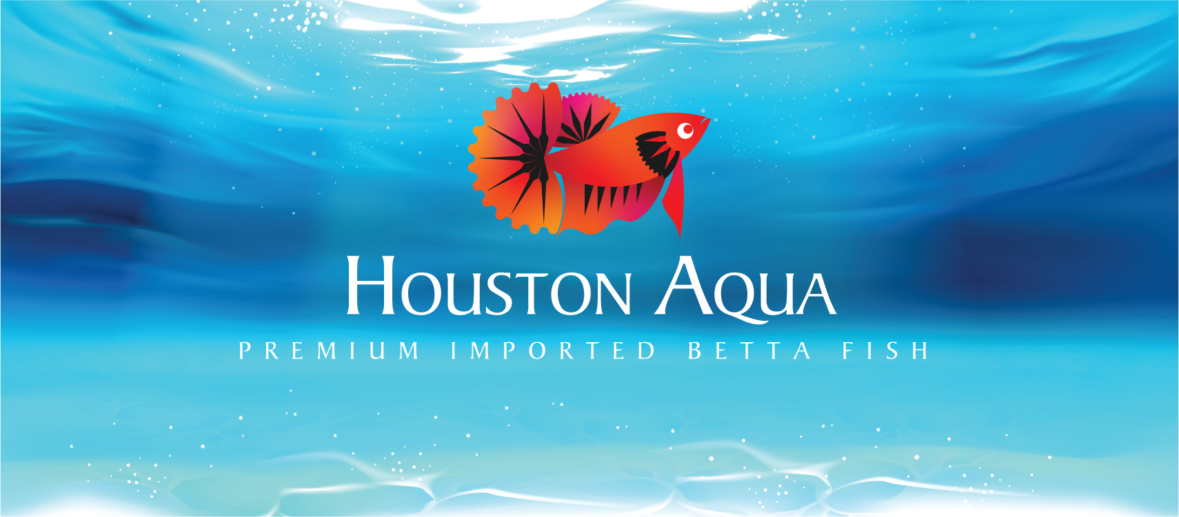Houston Aqua (Guppies, Betta, Flower Horn, Discus, Shrimp) - Store